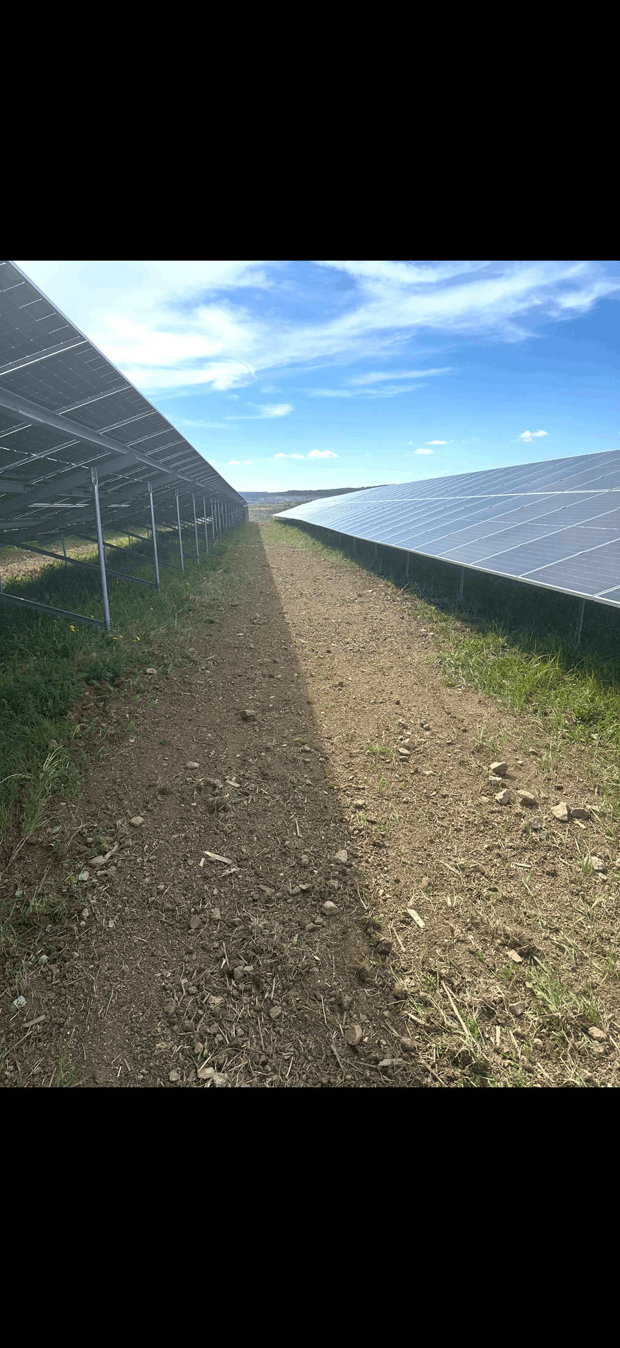 Terénní úpravy a údržba